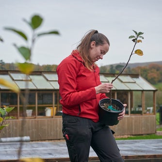 Zoe Hill inspecting a young tree in a plant nursery with a greenhouse in the background.